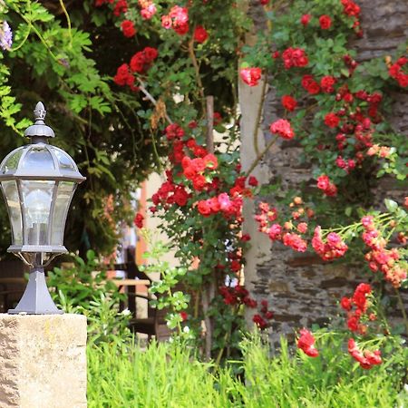 Pension Martinerhof Wintrich Kültér fotó